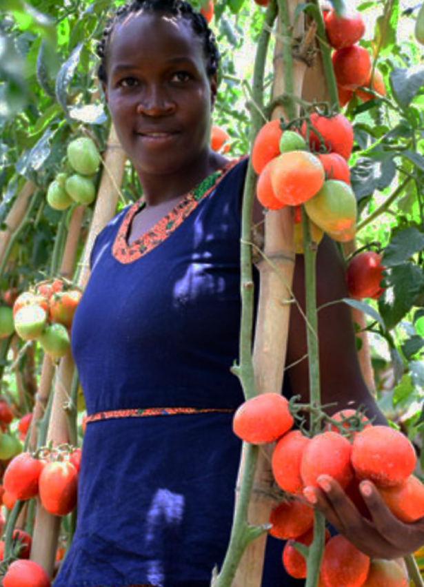 Kimora%20GreenGrow%20Farm